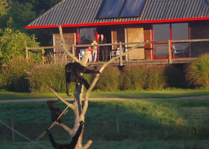 Cerza Safari Lodge